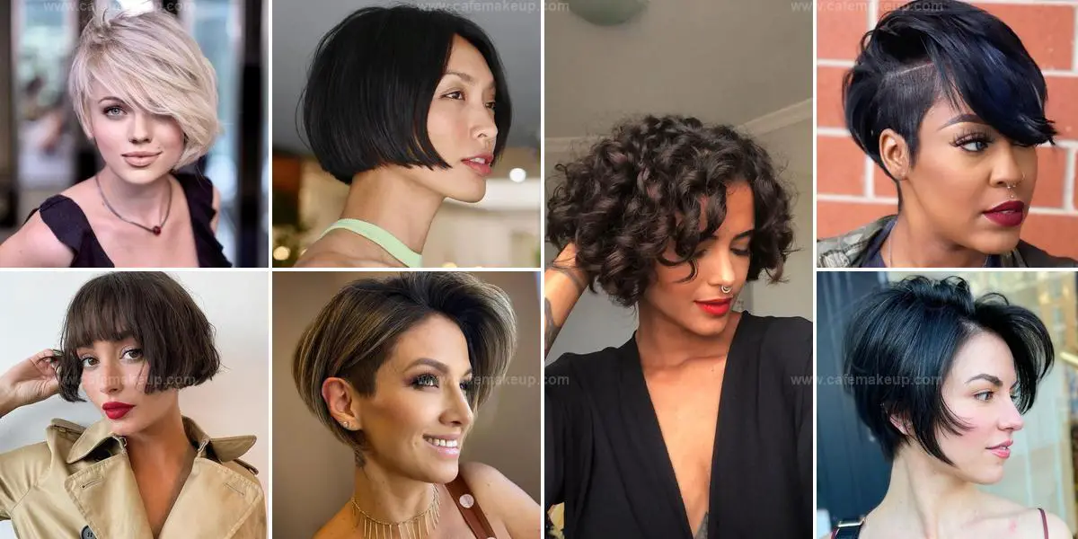 Top Sophisticated Pixie Bob Ideas